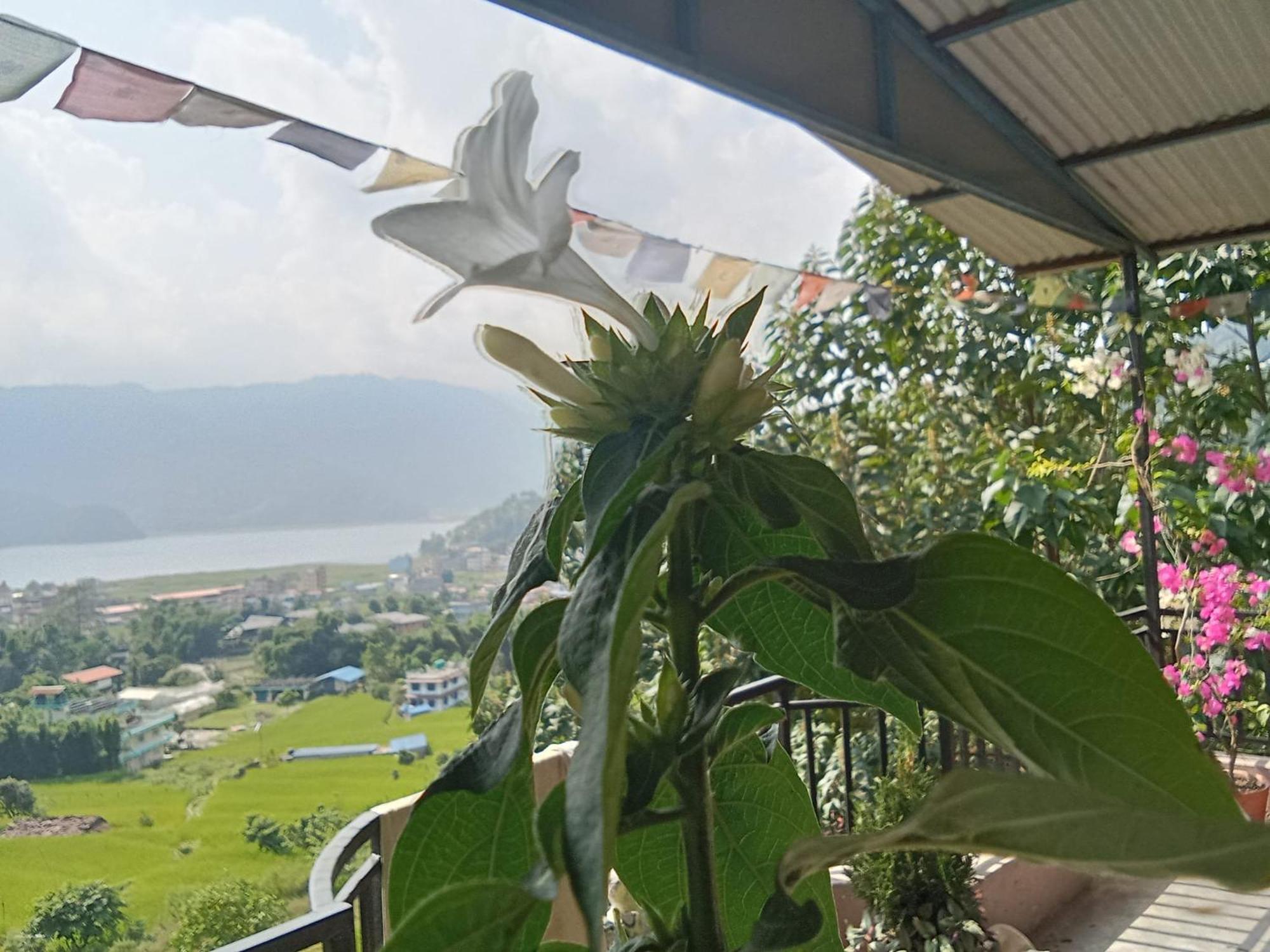 Gautam Garden Guest House Pokhara Kültér fotó